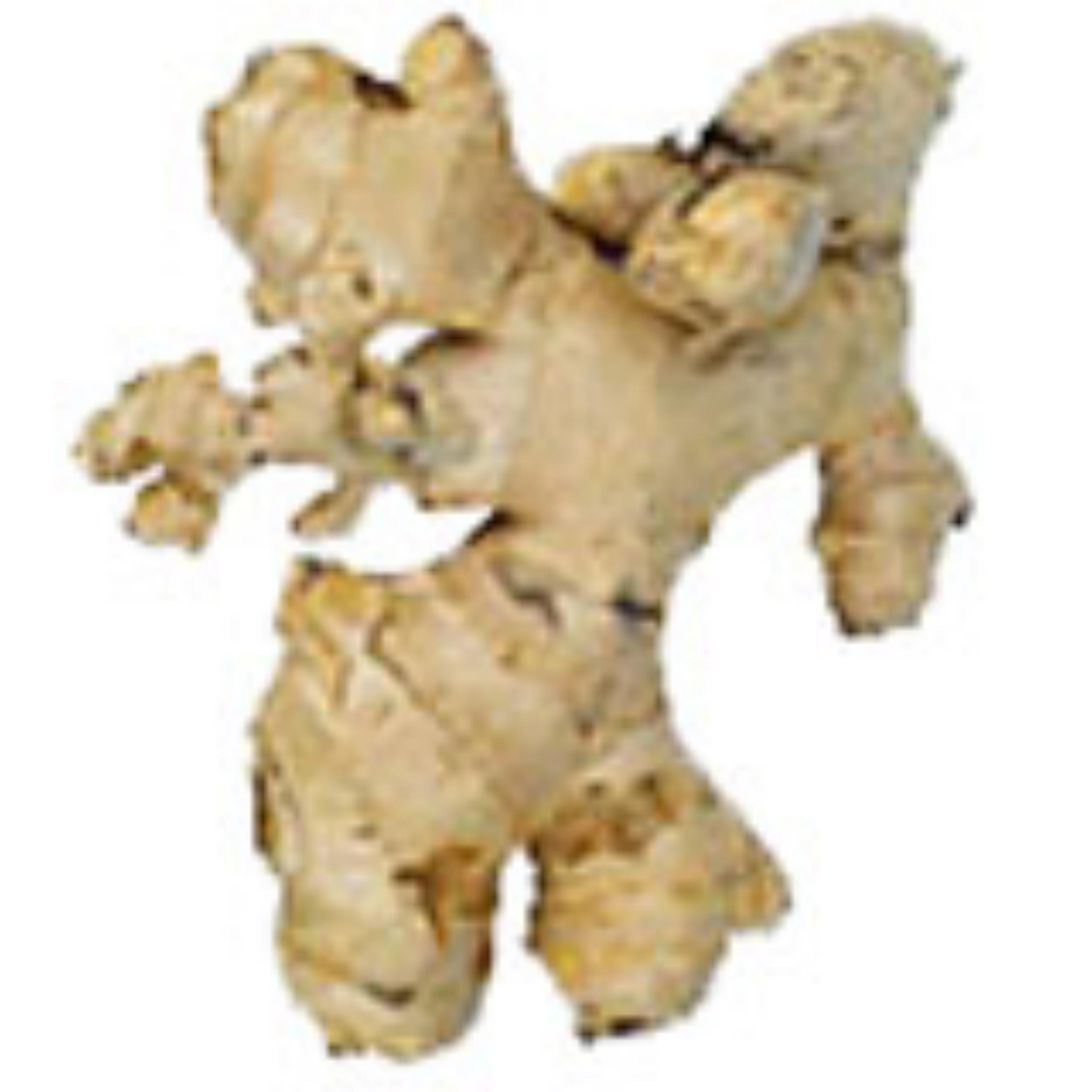 Имбирь в приготовлении блюд (Джинжер)